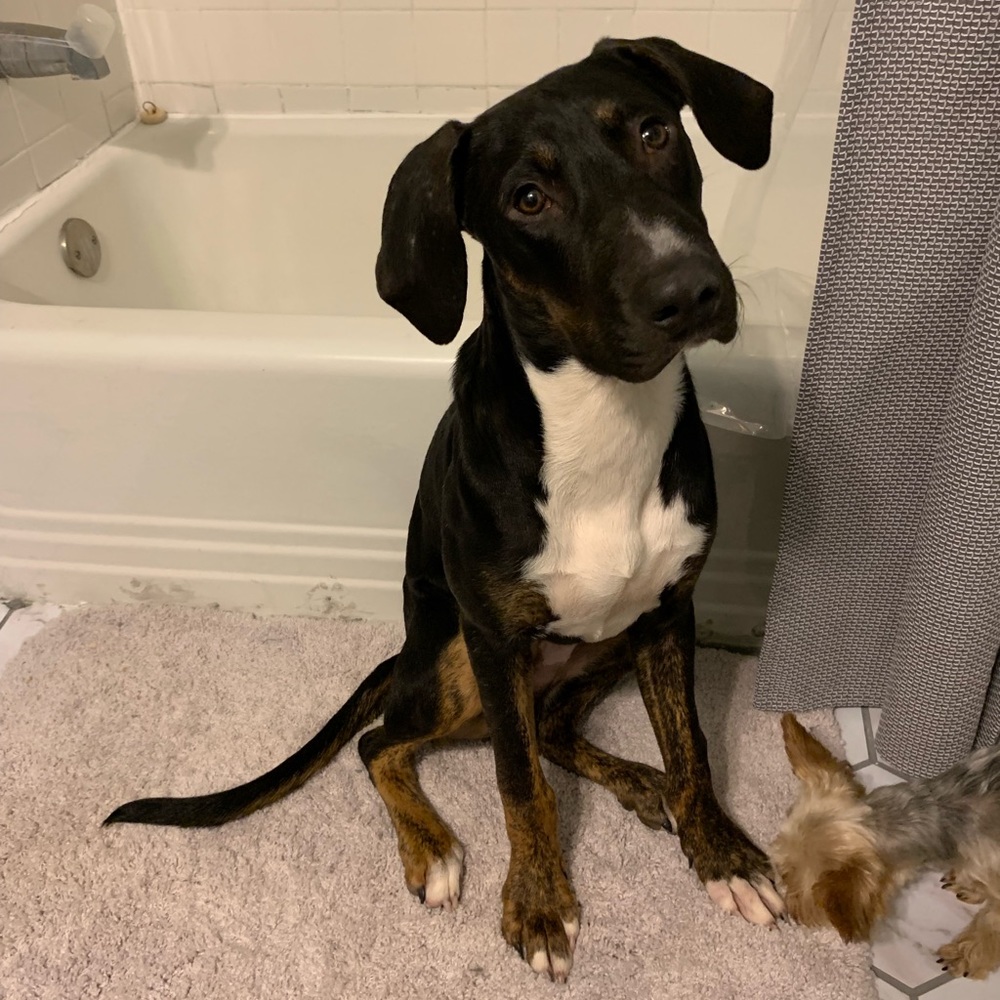 Meet your Posher, Whitney